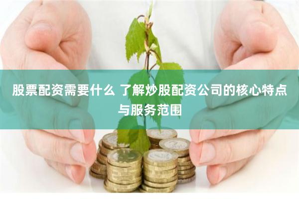 股票配资需要什么 了解炒股配资公司的核心特点与服务范围